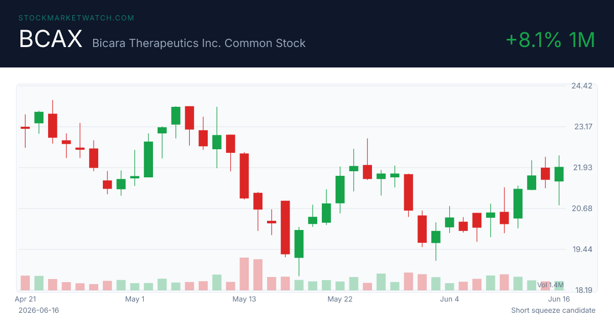 BCAX chart