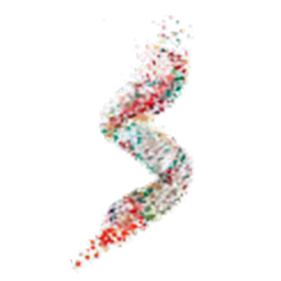 NSRX
